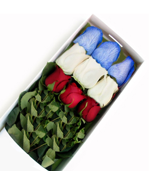 Caja de 09 Rosas Colores de la Bandera Chilena